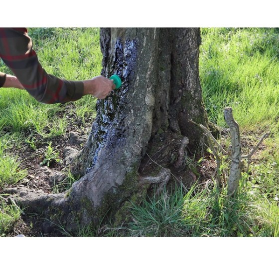 Imagem WhatsApp 2025-03-27 às 10.46.03_5b6d9799